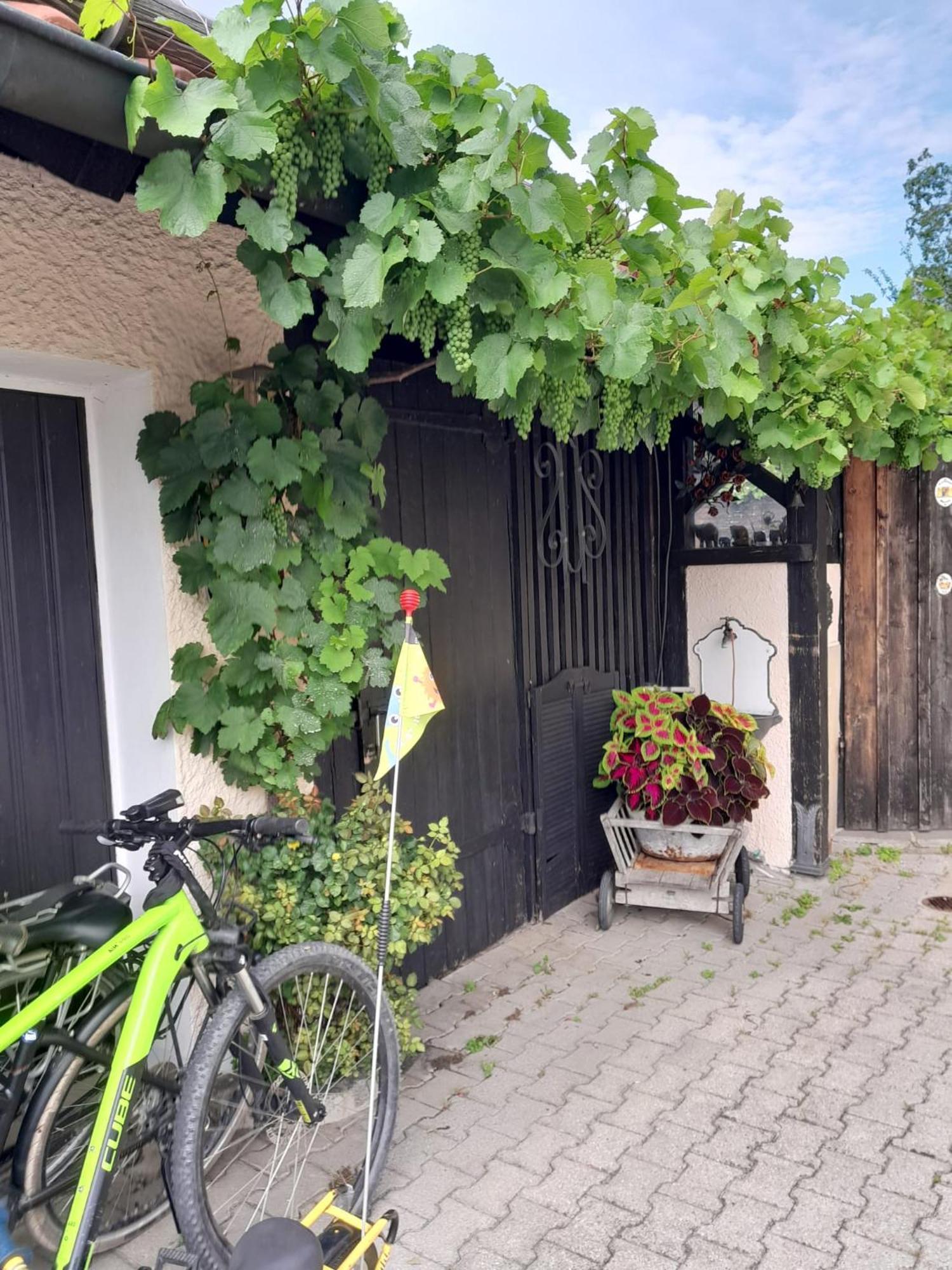 Ferienhaus Resch 라우펜 외부 사진